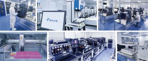 擎科生物獲4億元B輪融資，加速智能化基因工廠建設(shè)